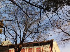 -西安大兴善寺