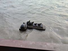 -东钱湖旅游度假区