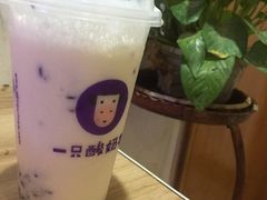 -一只酸奶牛(八一路店)