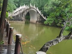 -深圳仙湖植物园