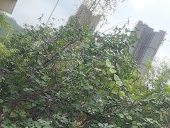 -湖南别院·美学庭院餐厅(惠阳店)