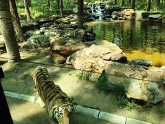 -北京野生动物园