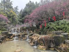 -兰溪地下长河