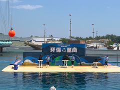 -秦皇岛乐岛海洋王国