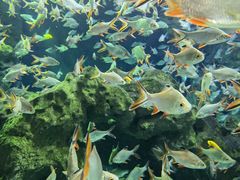 -成都浩海立方海洋公园