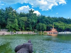 -西双版纳总佛寺