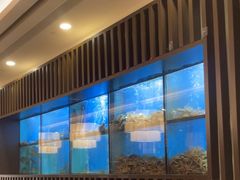 -珍宝海鲜JUMBO Seafood(尚嘉店)