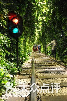 光谷爱情隧道-图片-武汉周边游-大众点评网