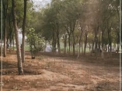 -西青郊野公园