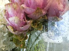 -双季花艺园艺市场(浦东店)