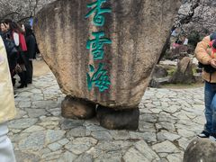 -香雪海