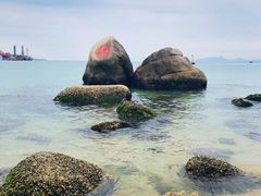 -玫瑰海岸文化旅游度假区