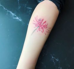 -明星刺青·洗纹身