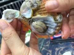 -七鲜渔港美食餐厅(巽寮湾海景店)