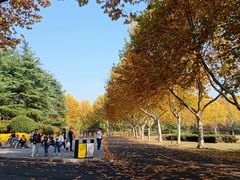 -宜兴龙背山森林公园