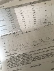 -北京安琪