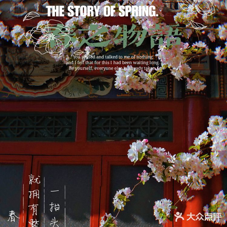 🌸京城赏花攻略|北土城地铁口,让你免费拥抱海棠花海🌷