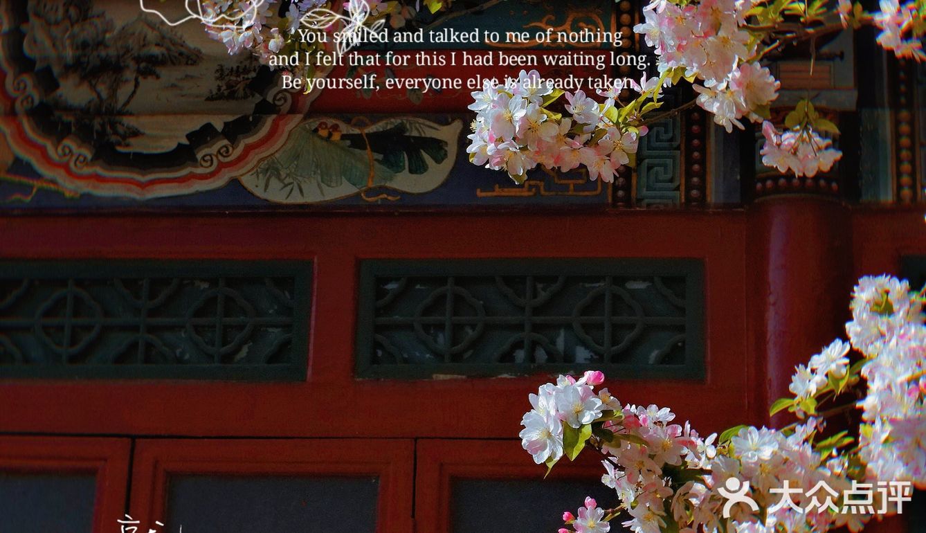 🌸京城赏花攻略|北土城地铁口，让你免费拥抱海棠花海🌷