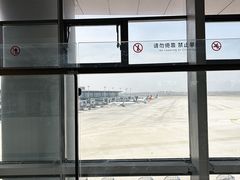 -青岛胶东国际机场