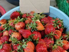 -五里多农博广场