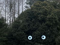 -花溪公园