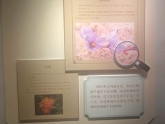 -天津自然博物馆