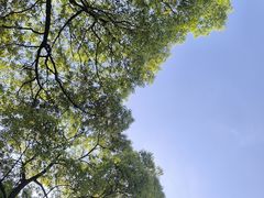 -新洲生态园