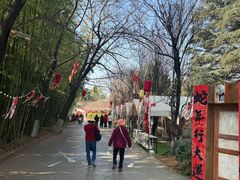 -庾园