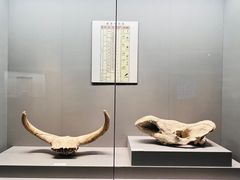 -赤峰博物馆