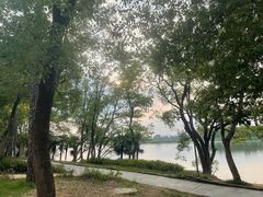 -东湖落雁景区
