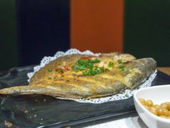 -九府羊·鲜羊火锅·烤串(新华路店)