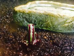 景点-上海大自然野生昆虫馆