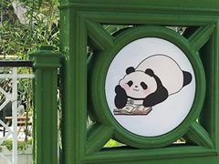-轩客会(熊猫书店)