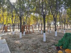 -大兴滨河森林公园