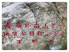 -王顺山国家森林公园