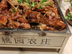 -桃园农庄烤全羊(江秋路店)