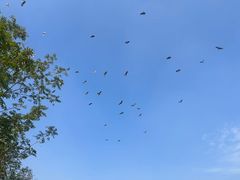 -白鹭湾湿地公园