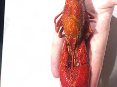 -靓靓蒸虾(恩施新天地店)