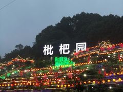 -枇杷园食为鲜火锅(南山店)