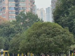 -沙河三洞古桥公园