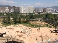 -青藏高原野生动物园