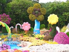 -上海共青森林公园