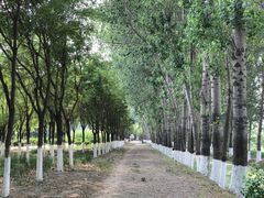 -东郊湿地公园