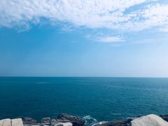 -广东惠东海龟国家级自然保护区
