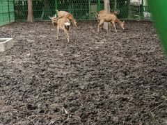 -广富林郊野公园