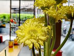 -白鸟珈琲White Bird Cafe(南京西路店)