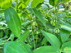 -昆山城市生态森林公园