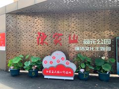 -陈家山荷花公园