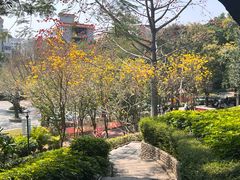 -炮台山公园