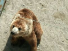 -新疆天山野生动物园